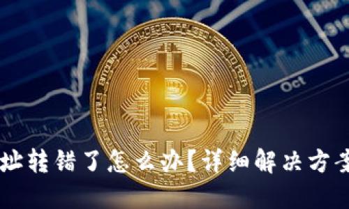 TPWallet地址转错了怎么办？详细解决方案与操作指南