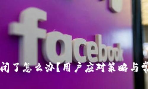 TPWallet倒闭了怎么办？用户应对策略与常见问题解答