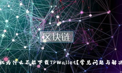 : 我的手机为什么不能下载TPWallet？常见问题与解决方案解析