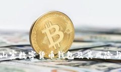 全面解析山寨数字货币钱