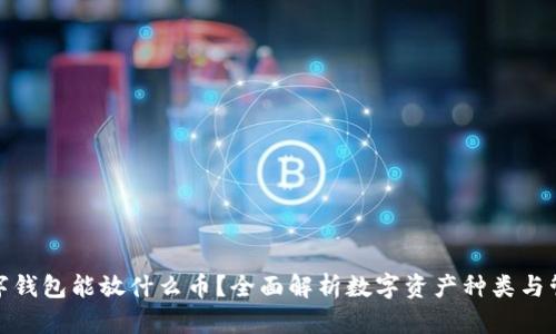 数字钱包能放什么币？全面解析数字资产种类与管理