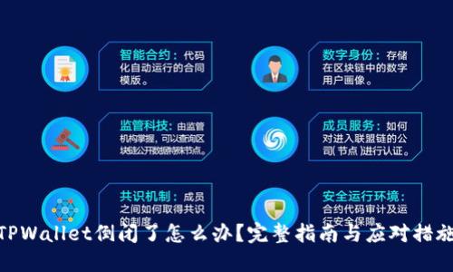 TPWallet倒闭了怎么办？完整指南与应对措施