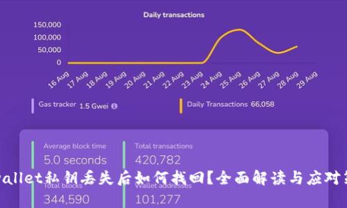 tpwallet私钥丢失后如何找回？全面解读与应对策略