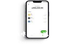 如何在TP Wallet中查看流动