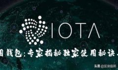 区块链专用钱包：专家揭