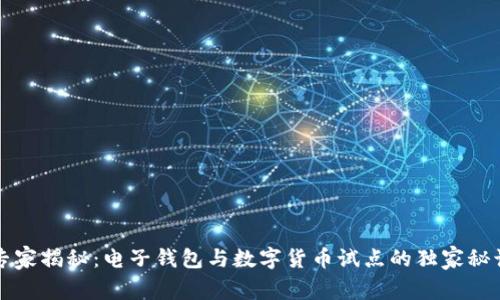 专家揭秘：电子钱包与数字货币试点的独家秘诀