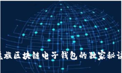 专家揭秘：魅族区块链电子钱包的独家秘诀与未来展望