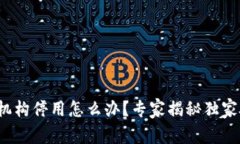 数字钱包机构停用怎么办