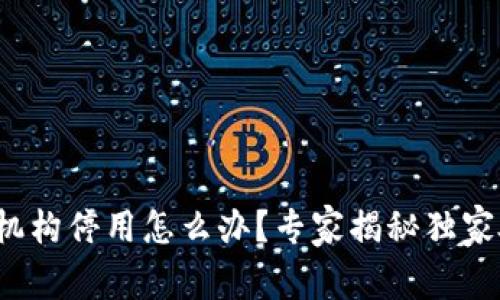 数字钱包机构停用怎么办？专家揭秘独家处理秘诀！