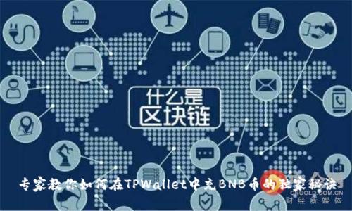 专家教你如何在TPWallet中充BNB币的独家秘诀