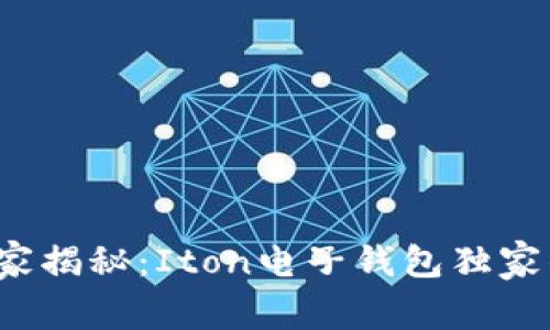 数字货币专家揭秘：Iton电子钱包独家的使用秘诀！