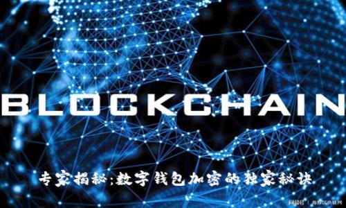 专家揭秘：数字钱包加密的独家秘诀