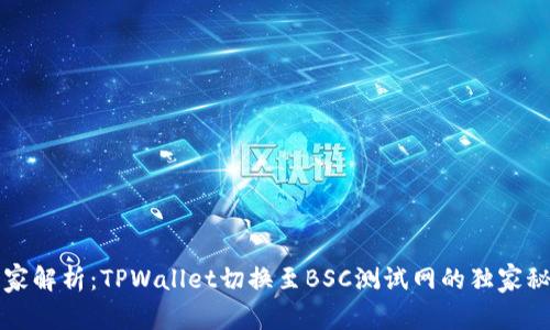 专家解析：TPWallet切换至BSC测试网的独家秘诀