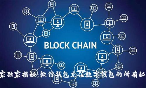 专家独家揭秘：微信钱包充值数字钱包的所有秘诀！