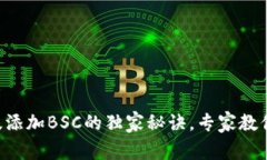 TPWallet电脑版添加BSC的独家