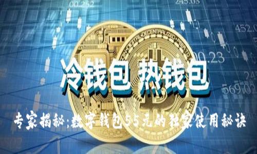 专家揭秘：数字钱包55元的独家使用秘诀