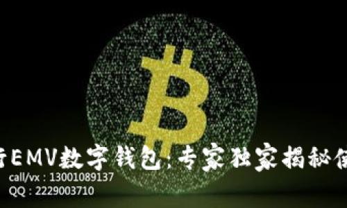 中国银行EMV数字钱包：专家独家揭秘使用秘诀！