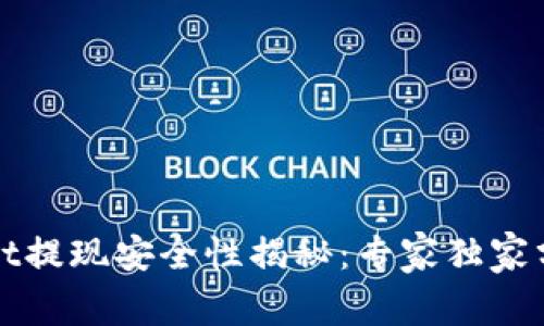 TPWallet提现安全性揭秘：专家独家分享秘诀