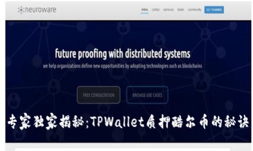 专家独家揭秘：TPWallet质押酷尔币的秘诀