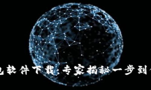 国家数字钱包软件下载：专家揭秘一步到位的独家秘诀