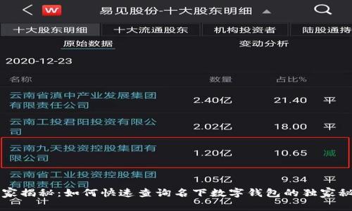 专家揭秘：如何快速查询名下数字钱包的独家秘诀