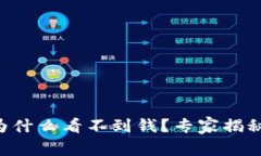 TPWallet为什么看不到钱？专