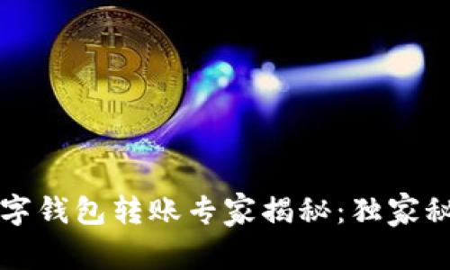 二类数字钱包转账专家揭秘：独家秘诀分享