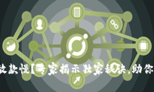 数字钱包放款慢？专家揭示独家秘诀，助你加速交易！