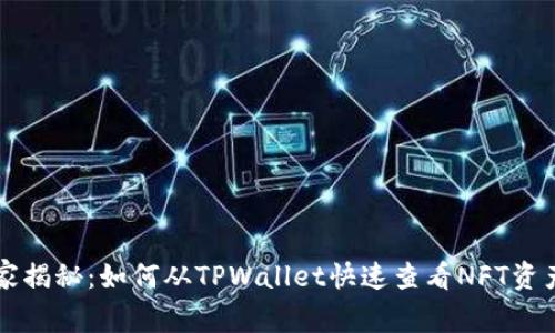 专家独家揭秘：如何从TPWallet快速查看NFT资产的秘诀