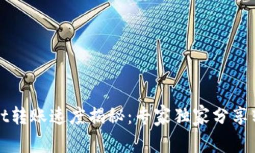 TPWallet转账速度揭秘：专家独家分享转账秘诀