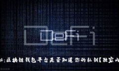 专家揭秘：区块链钱包平