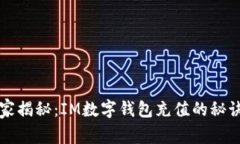 专家独家揭秘：IM数字钱包