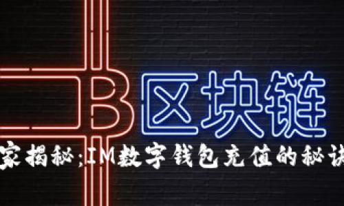 专家独家揭秘：IM数字钱包充值的秘诀与技巧