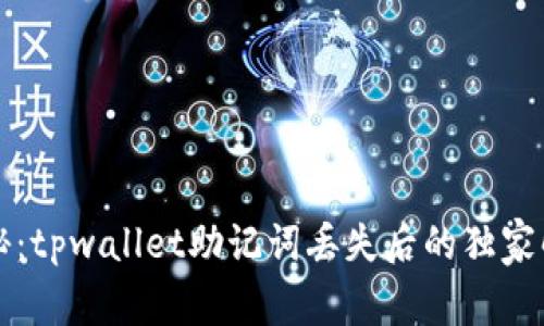 专家揭秘：tpwallet助记词丢失后的独家解决秘诀