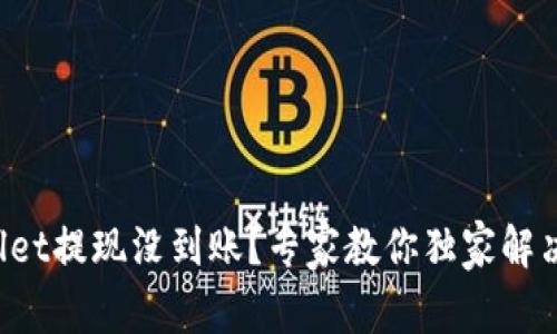 TPWallet提现没到账？专家教你独家解决秘诀！