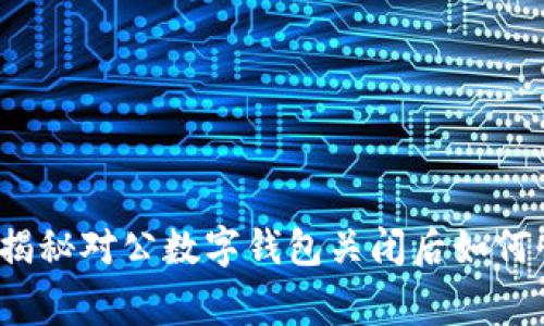 专家教你：独家揭秘对公数字钱包关闭后如何快速开启的秘诀