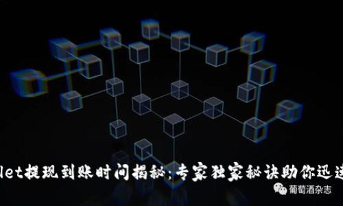 TPWallet提现到账时间揭秘：专家独家秘诀助你迅速掌握！