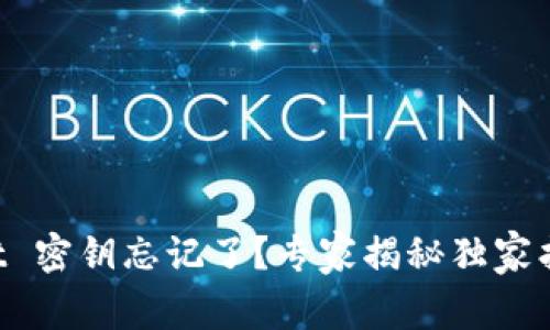 TPWallet 密钥忘记了？专家揭秘独家找回秘诀！