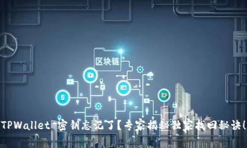 TPWallet 密钥忘记了？专家揭秘独家找回秘诀！