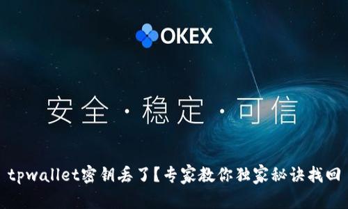 tpwallet密钥丢了？专家教你独家秘诀找回