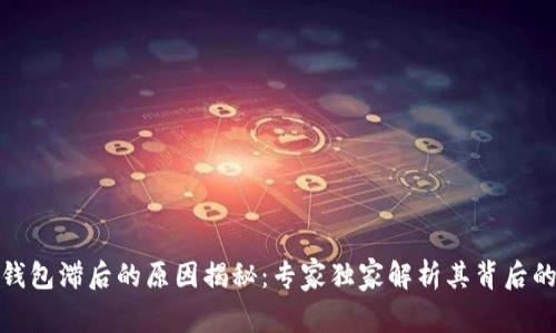 数字钱包滞后的原因揭秘：专家独家解析其背后的秘诀