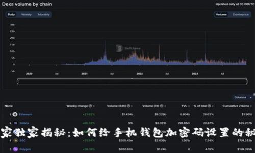 专家独家揭秘：如何给手机钱包加密码设置的秘诀
