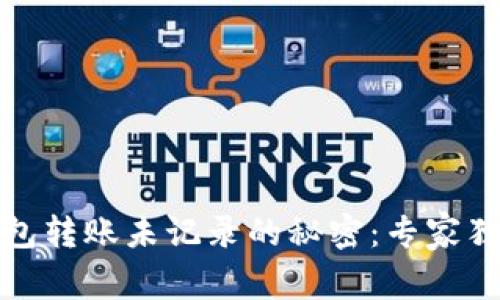 数字钱包转账未记录的秘密：专家独家解读