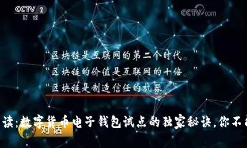 专家解读：数字货币电子钱包试点的独家秘诀，你不能错过！