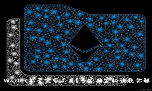 TP Wallet能量宽带不足？专家独家秘诀教你解决！