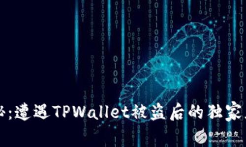 专家揭秘：遭遇TPWallet被盗后的独家应对秘诀