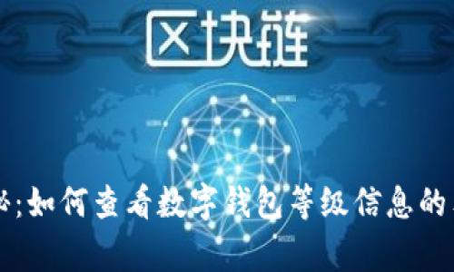 专家揭秘：如何查看数字钱包等级信息的独家秘诀
