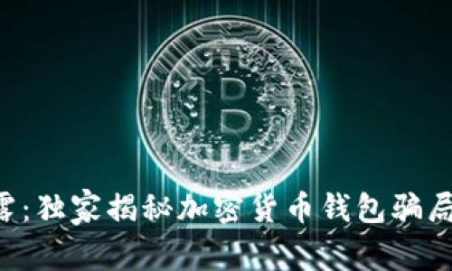 专家揭露：独家揭秘加密货币钱包骗局的秘诀！