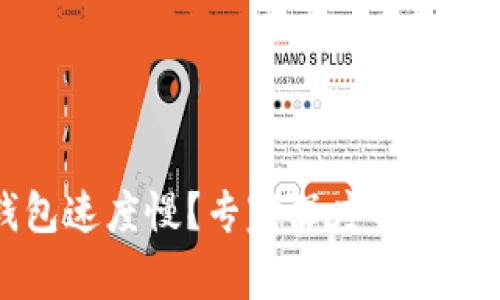 区块链钱包速度慢？专家深度解析及独家秘诀