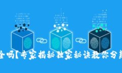 TPWallet安全吗？专家揭秘独